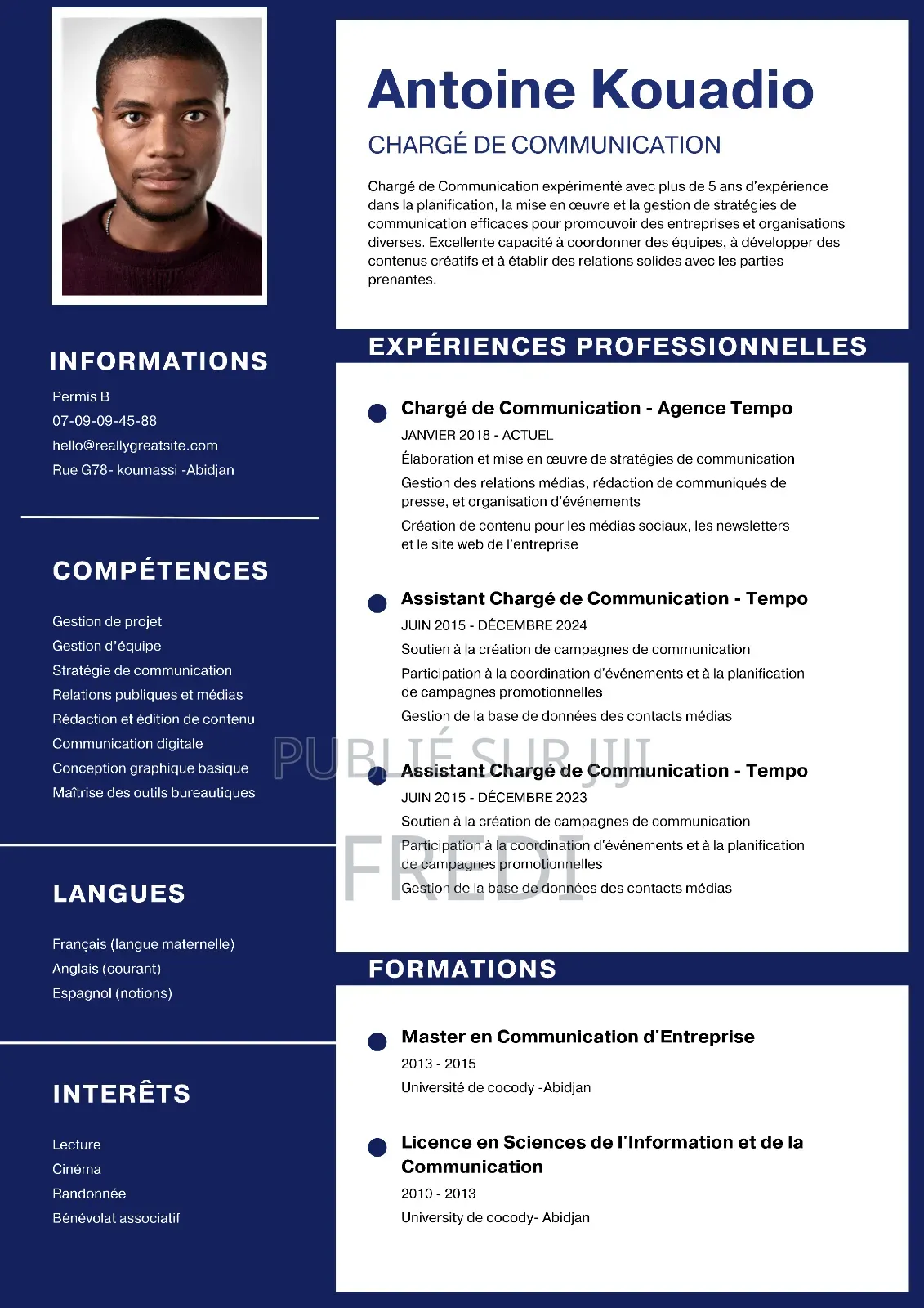 Cv Professionnel Adapter Au Marché De L’emplois