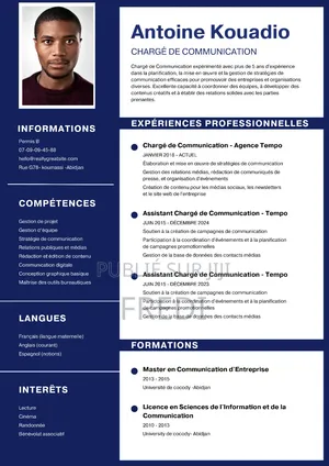 Cv Professionnel Adapter Au Marché De L’emplois