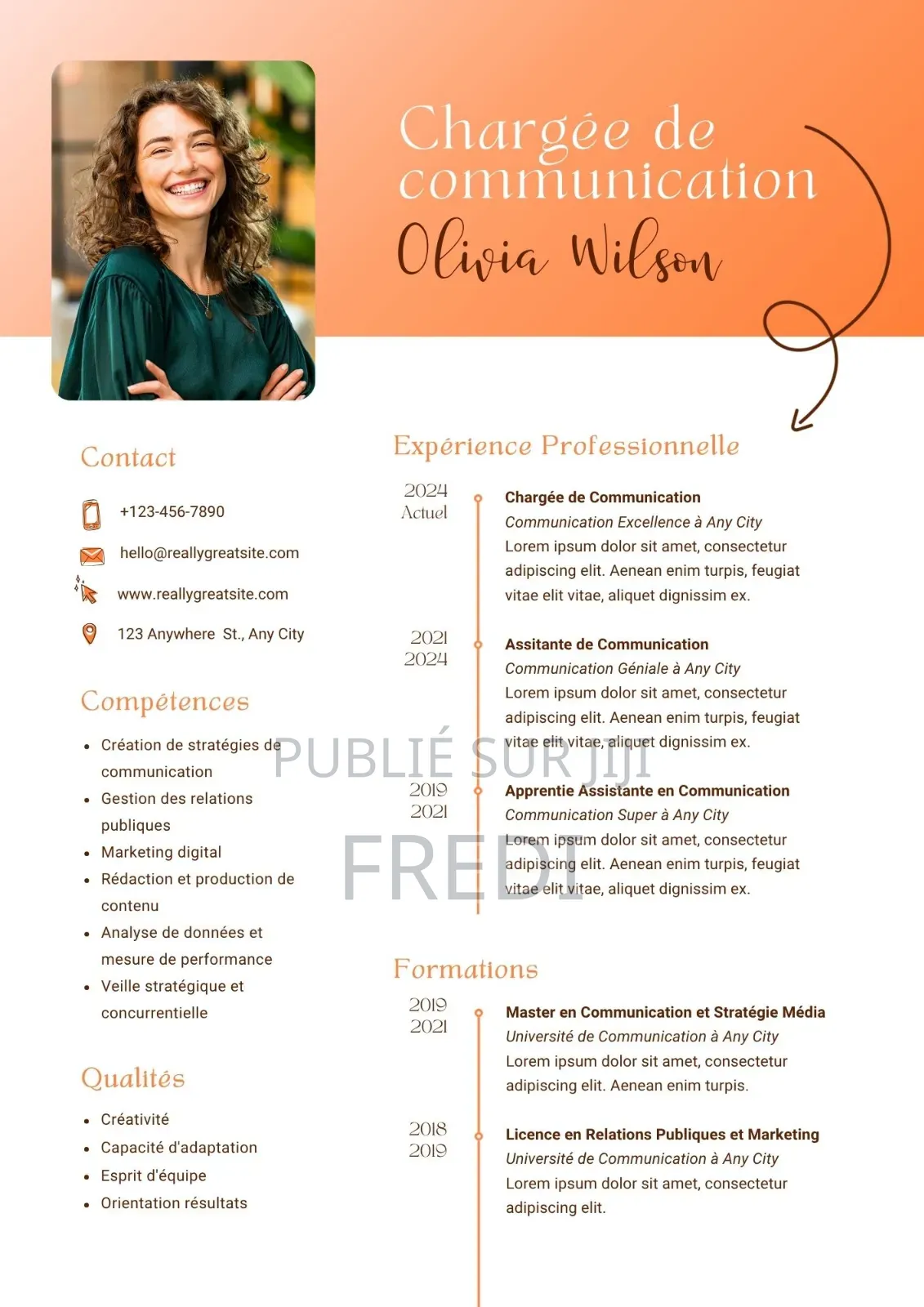 Cv Professionnel Adapter Au Marché De L’emplois
