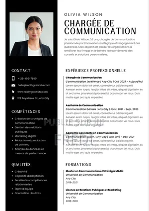 Cv Professionnel Adapter Au Marché De L’emplois