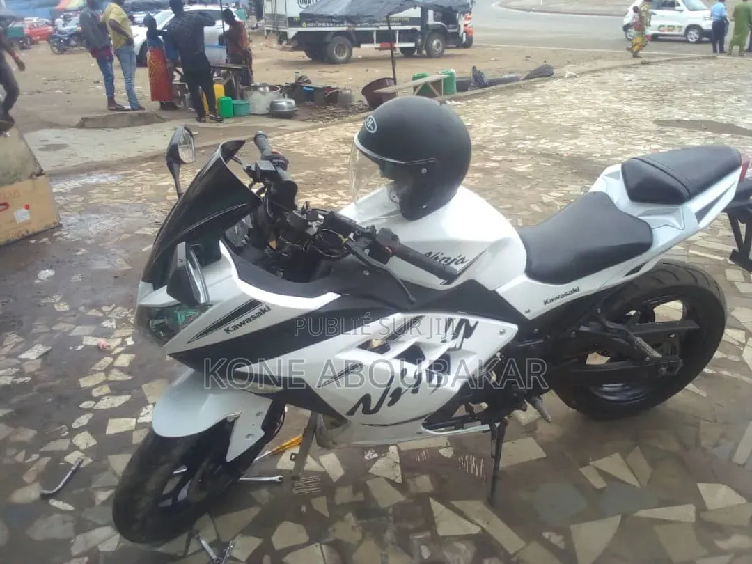 Kawasaki Ninja 1000 2026 Blanc