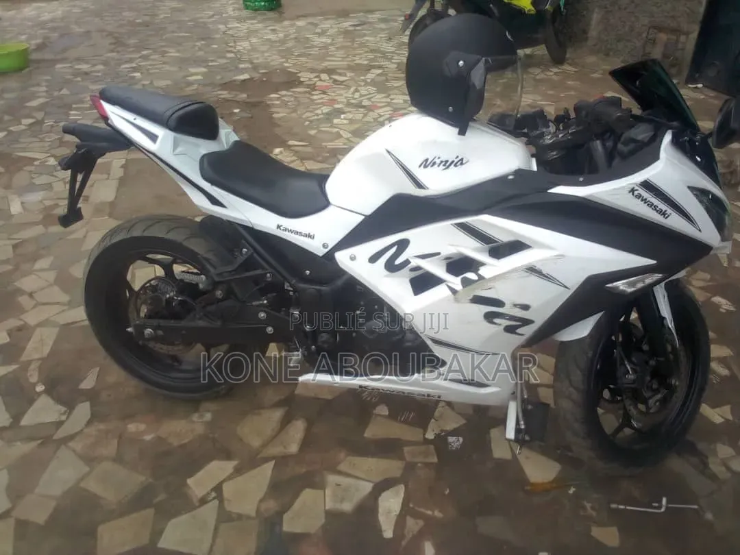Kawasaki Ninja 1000 2026 Blanc
