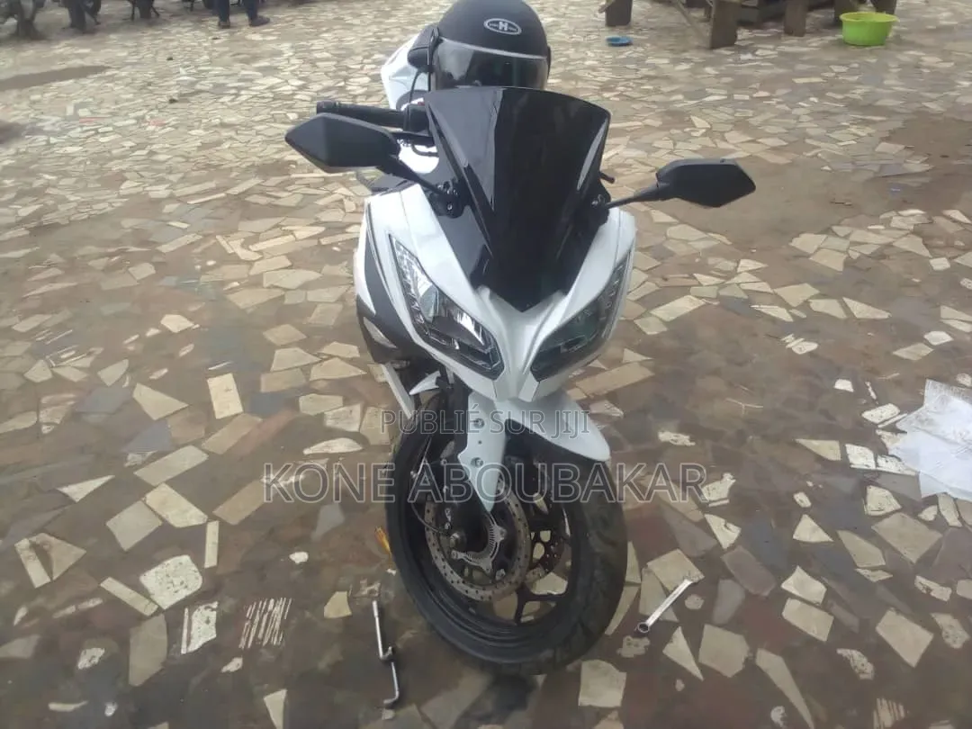 Kawasaki Ninja 1000 2026 Blanc