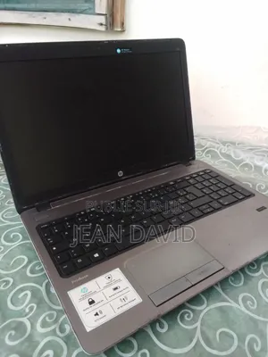 Ordinateur portable HP ProBook 455 G1 4GB AMD A4 HDD 500GB