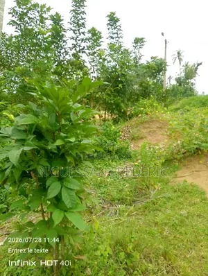 Terrain 680m2 À Mondoukou Avec ACD en Vente
