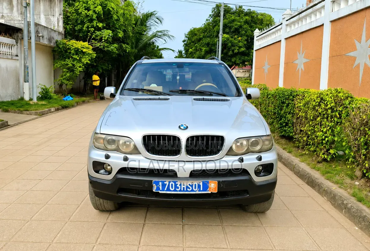 BMW X5 2006 Gris
