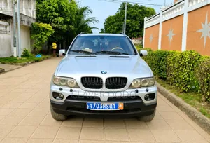 BMW X5 2006 Gris
