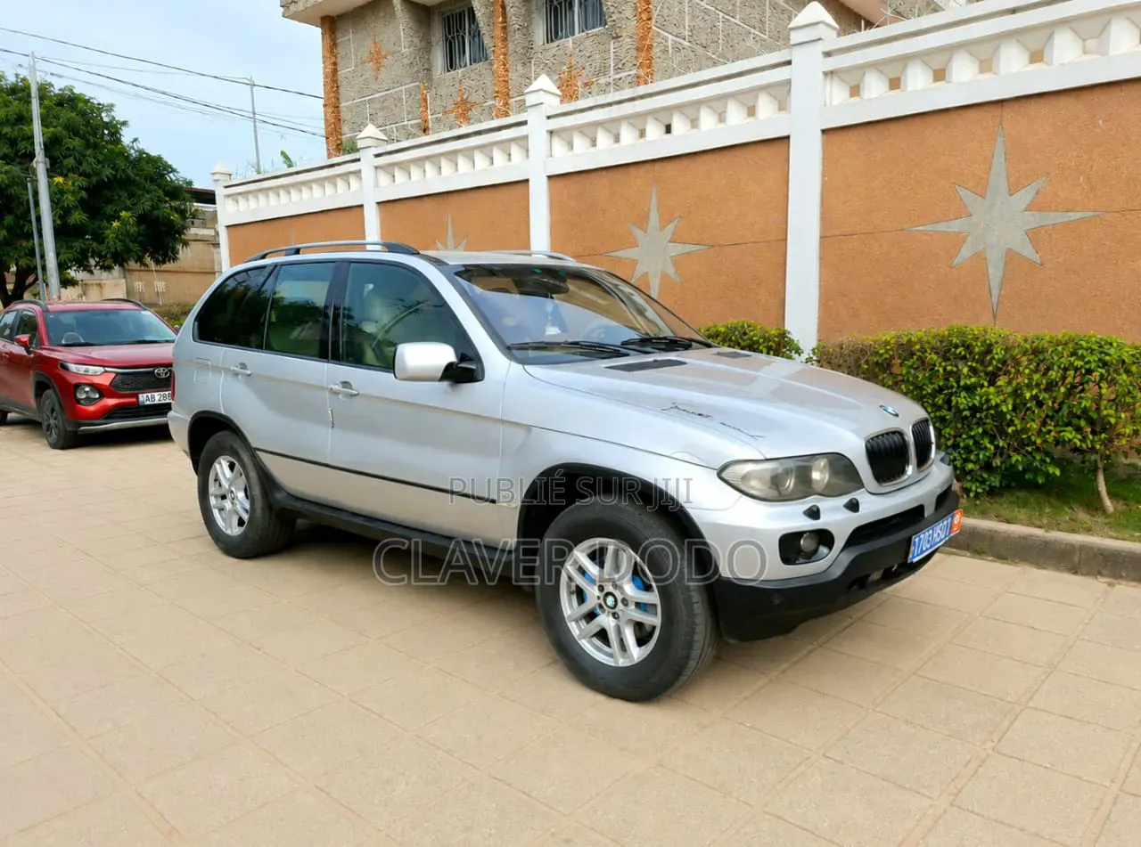 BMW X5 2006 Gris