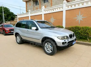 BMW X5 2006 Gris