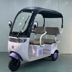 Nouveau Tricycle Autre 2022 Gris