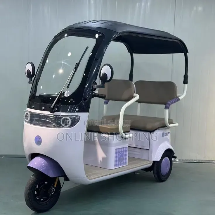 Nouveau Tricycle Autre 2022 Gris