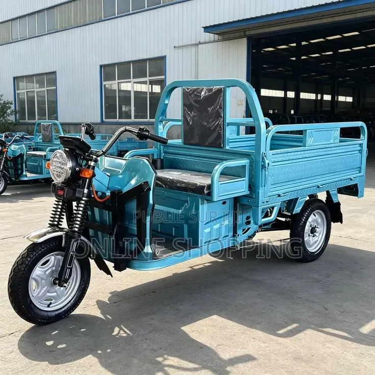 Nouveau Tricycle Autre 2026 Noir