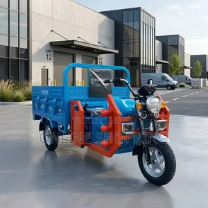 Nouveau Tricycle Autre 2026 Noir