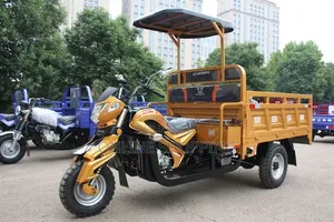 Nouveau Tricycle Autre 2026 Noir