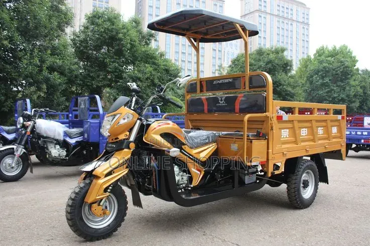 Nouveau Tricycle Autre 2026 Noir
