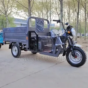 Nouveau Tricycle Autre 2020 Bleu