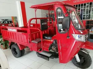 Nouveau Tricycle Autre 2020 Bleu