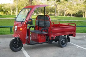 Nouveau Tricycle Autre 2020 Bleu