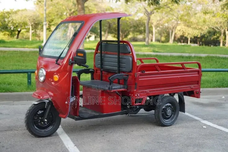 Nouveau Tricycle Autre 2020 Bleu