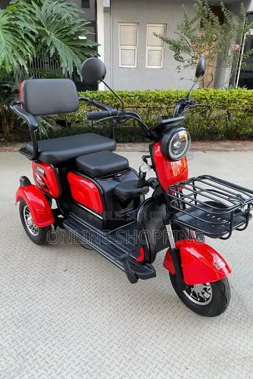 Moto Électrique