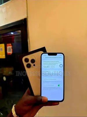 Nouveau Apple iPhone 13 Pro Max 512 GB Gris