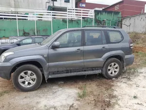 Toyota Land Cruiser 2003 Gris