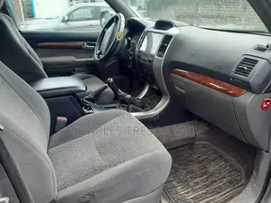 Toyota Land Cruiser 2003 Gris