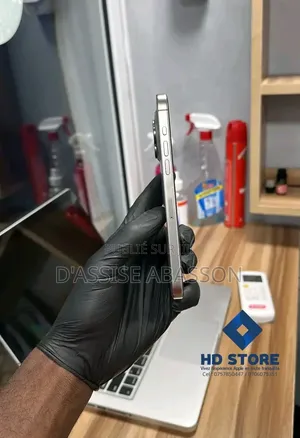 Nouveau Apple iPhone 15 Pro Max 256 GB Argenté