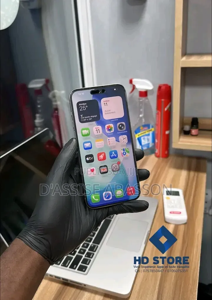 Nouveau Apple iPhone 15 Pro Max 256 GB Argenté