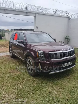 Kia Telluride 2021 Rouge