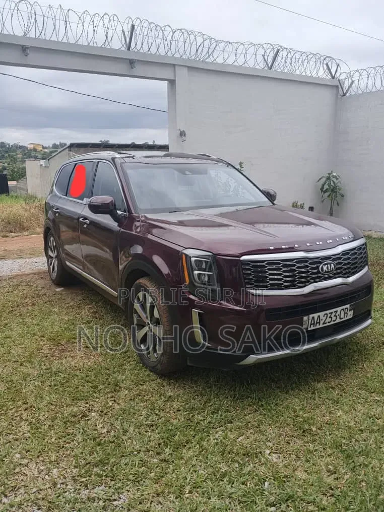 Kia Telluride 2021 Rouge