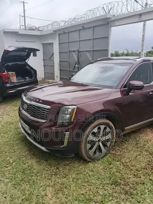 Kia Telluride 2021 Rouge