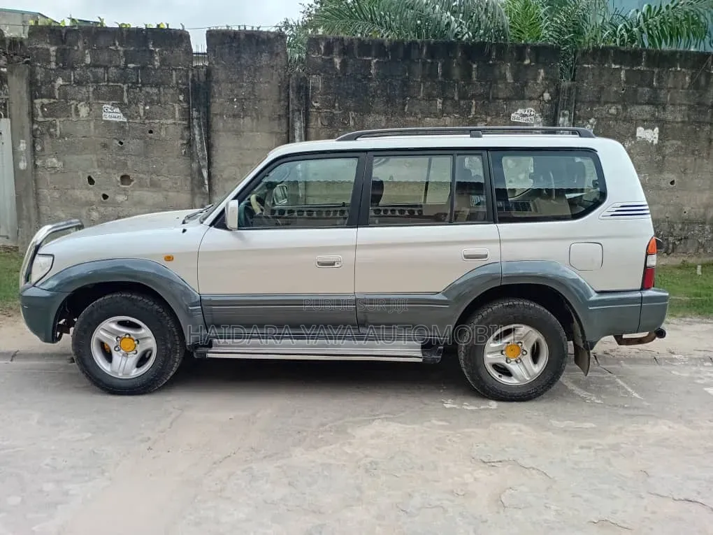 Toyota Land Cruiser 2001 Gris