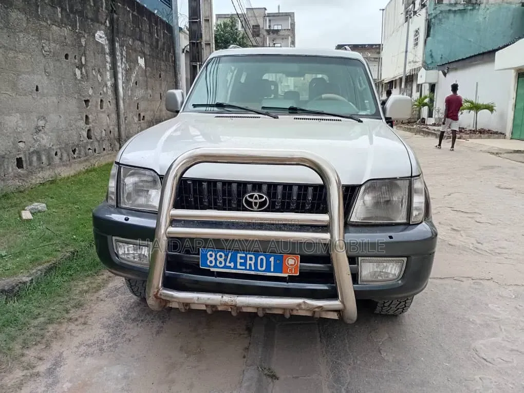 Toyota Land Cruiser 2001 Gris