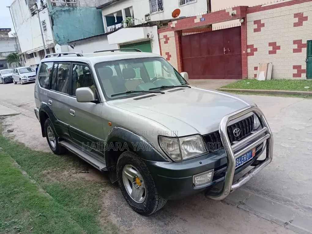 Toyota Land Cruiser 2001 Gris