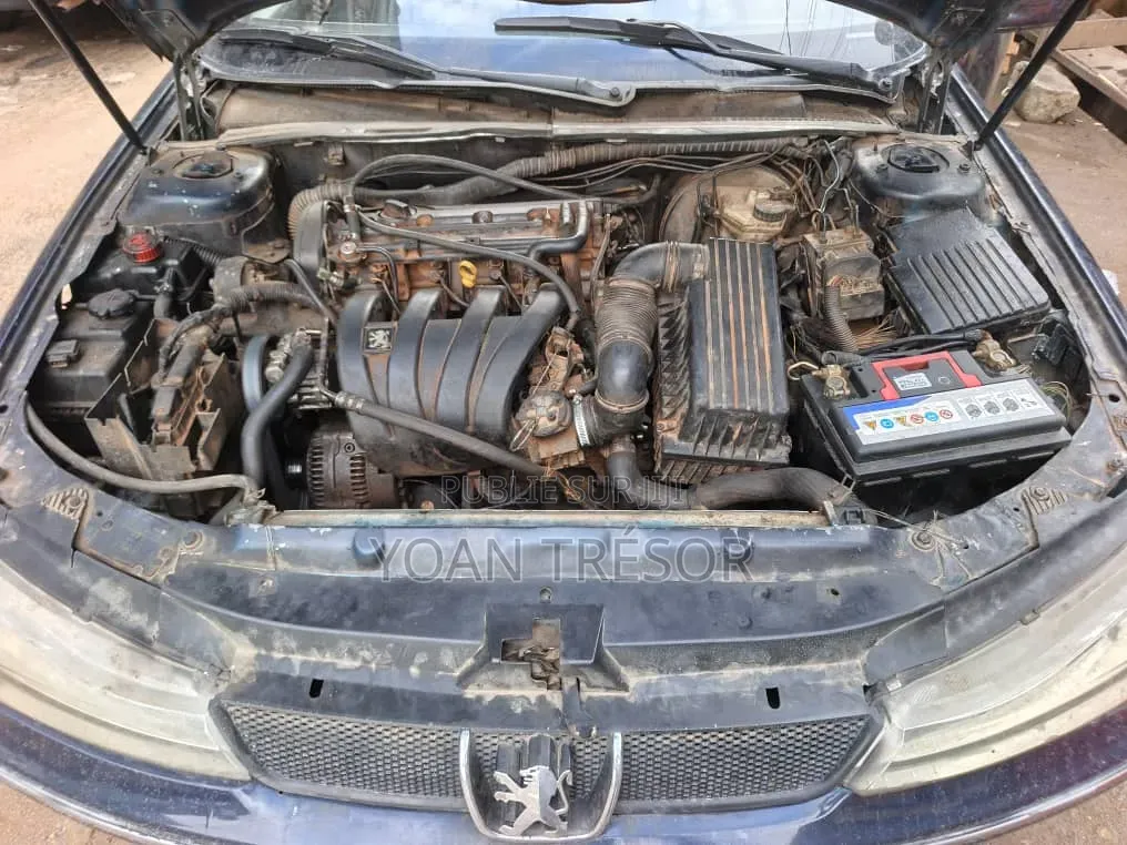 Peugeot 406 2001 Bleu