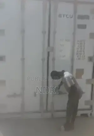 Vente De Conteneur Frigo 40 Pieds Avec Livraison