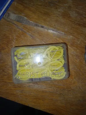 Dental Flosser