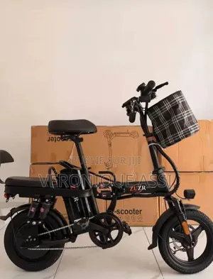 Vélo Électrique
