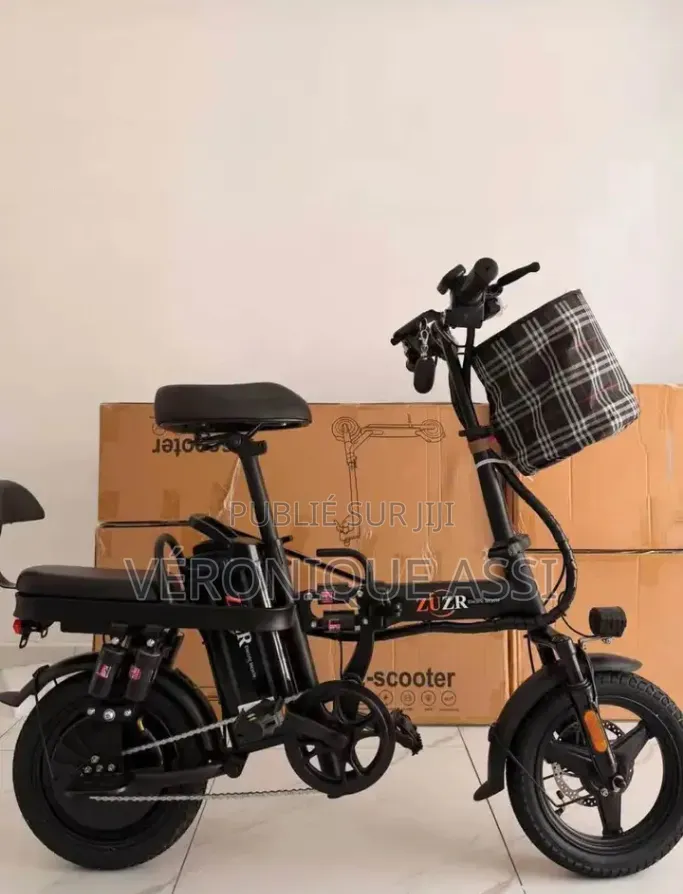 Vélo Électrique