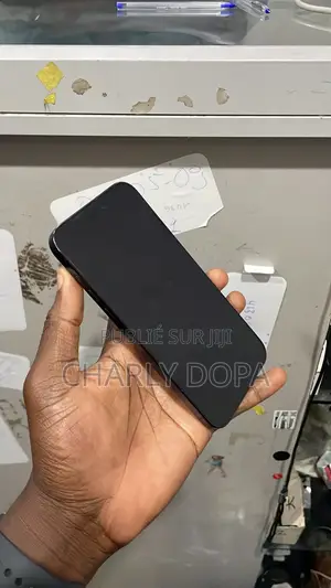 Apple iPhone 15 Pro Max 256 GB Noir