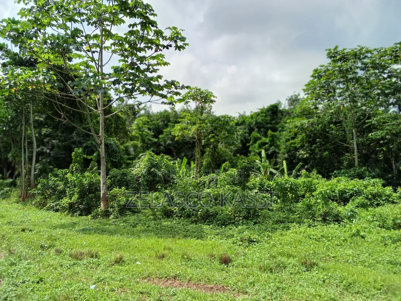 Terrain en Vente