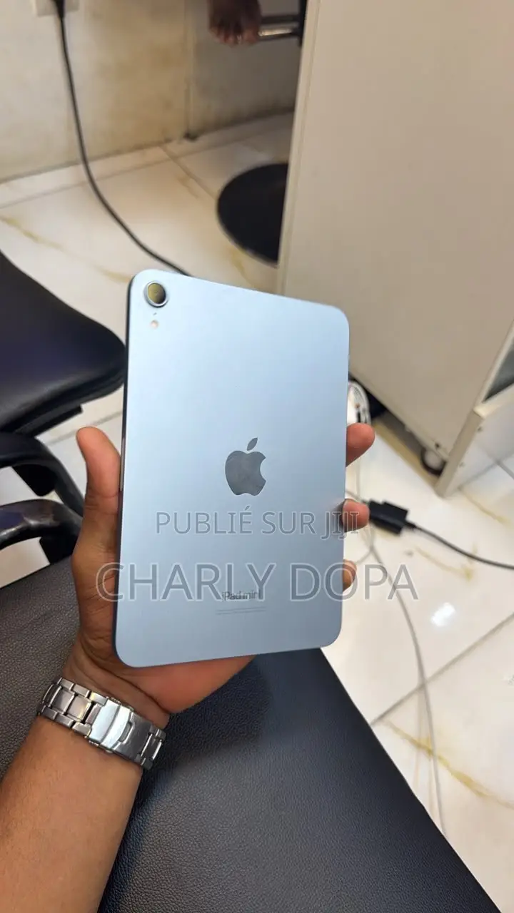 Apple iPad mini 7 256 GB Argenté