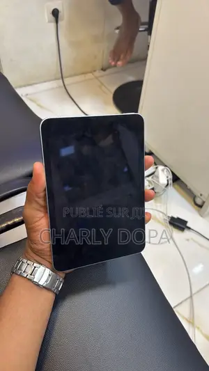 Apple iPad mini 7 256 GB Argenté