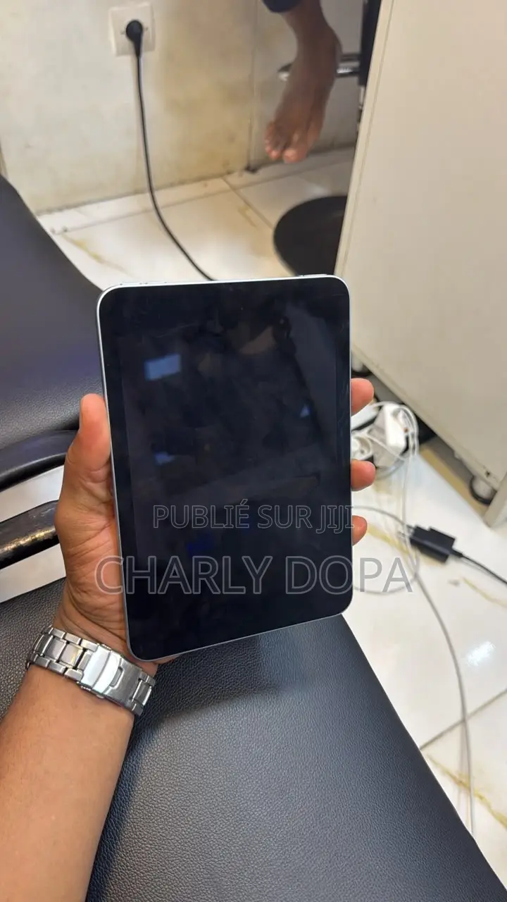 Apple iPad mini 7 256 GB Argenté