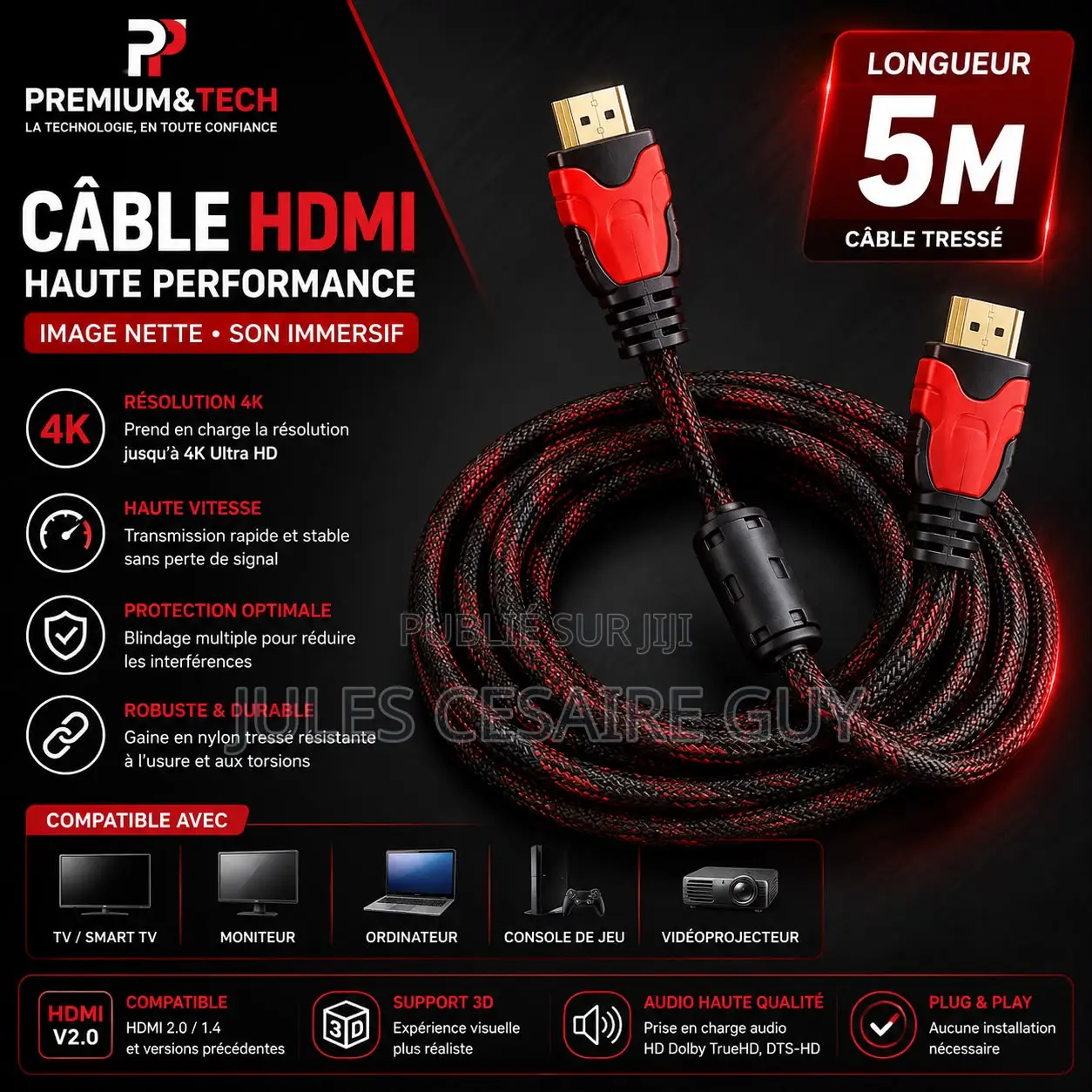 Câble HDMI 10M Haute Performance Ultra HD - Câble Nylon Tressé