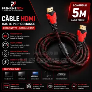 Câble HDMI 10M Haute Performance Ultra HD - Câble Nylon Tressé