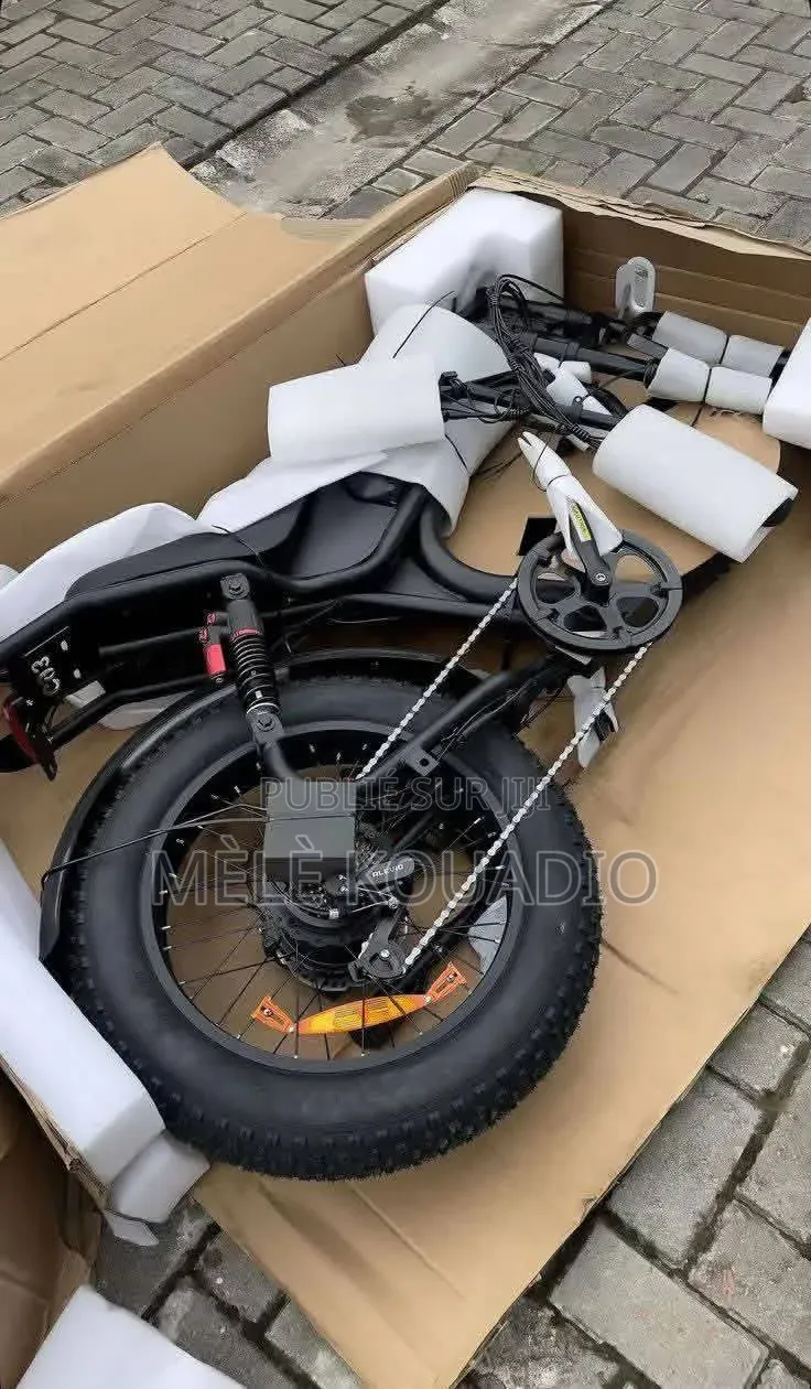 Vélo Électrique