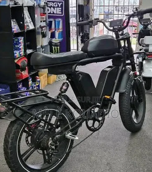 Vélo Électrique