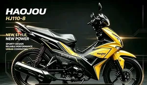 Nouveau Haojue HJ110T-8 2024 Autre